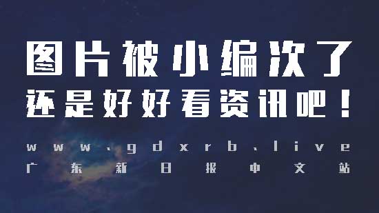 日本神户一“微笑羊”爆红 网友称其“微笑君”